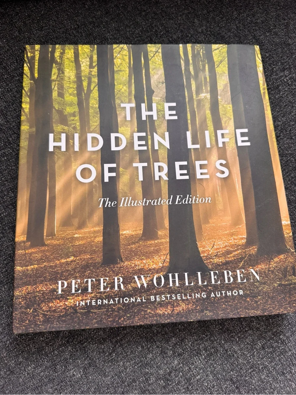 The Hidden Life of Trees Illustrated Edition - - Green Cover